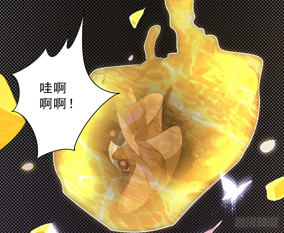 第3话 史上最悲催熊猫36