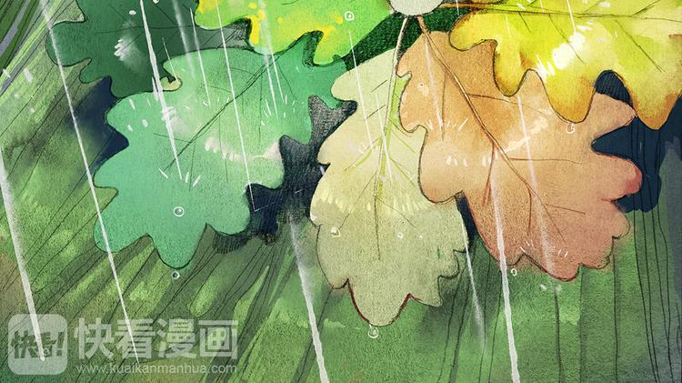 第17话 雨4