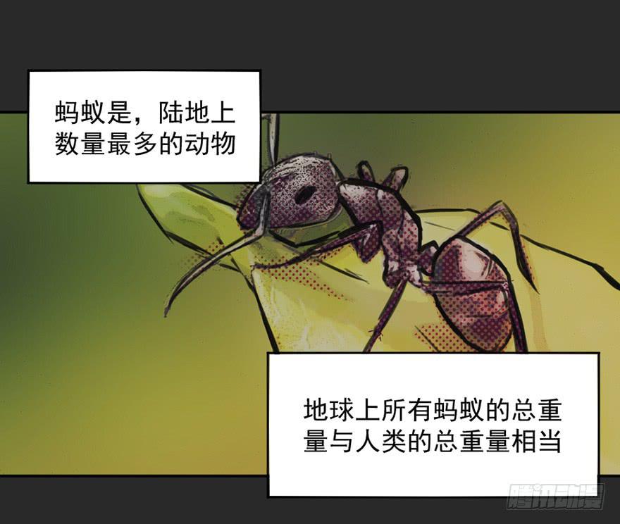 14地上最强之妖0