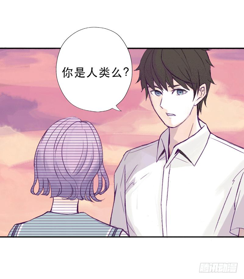 红与白（上）65