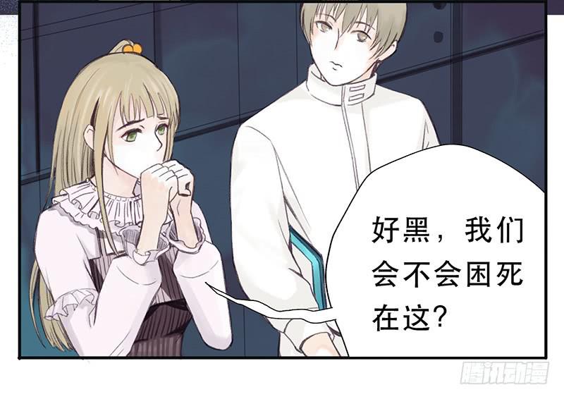 零伯爵5