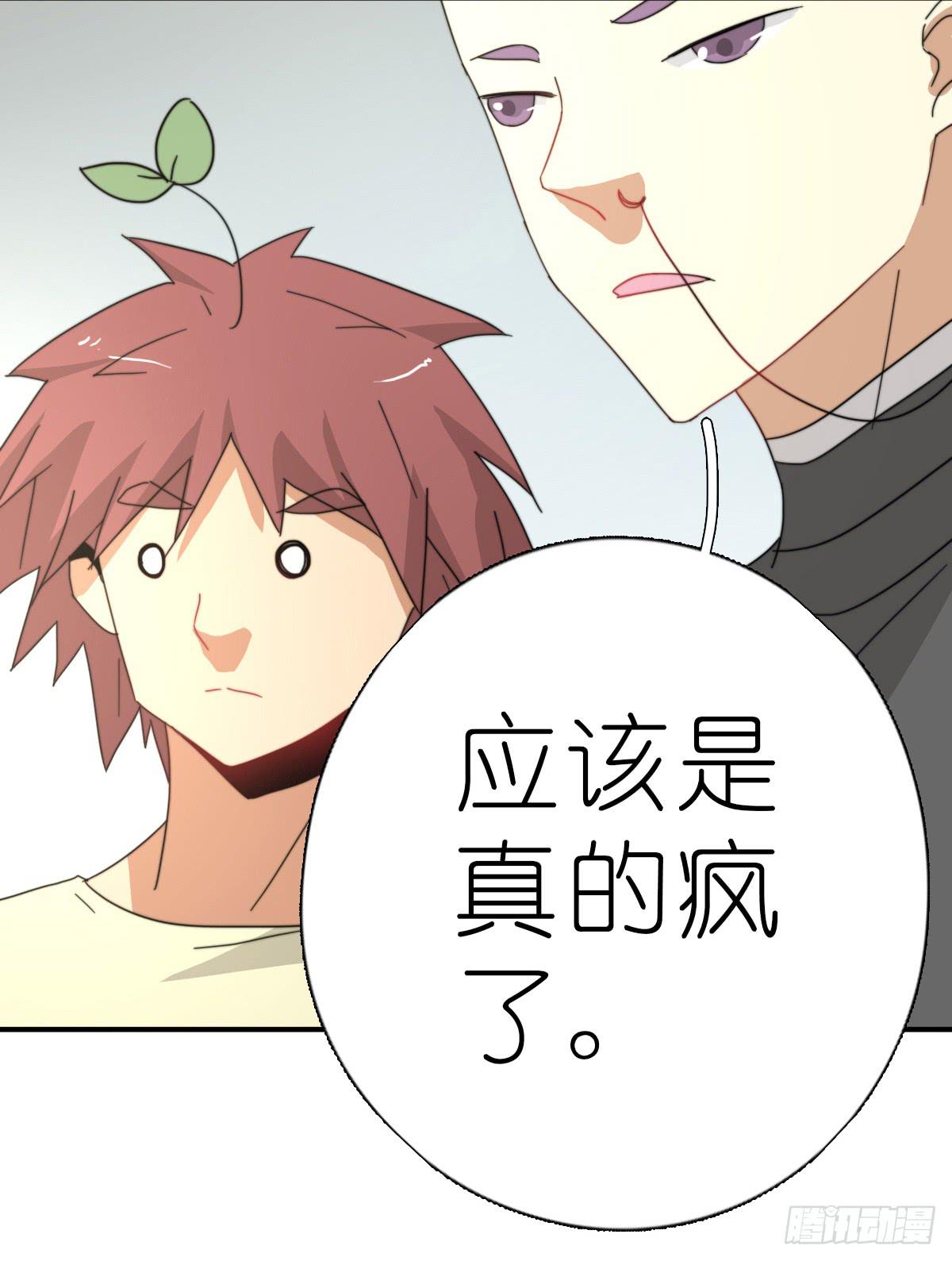 心跳花园0419