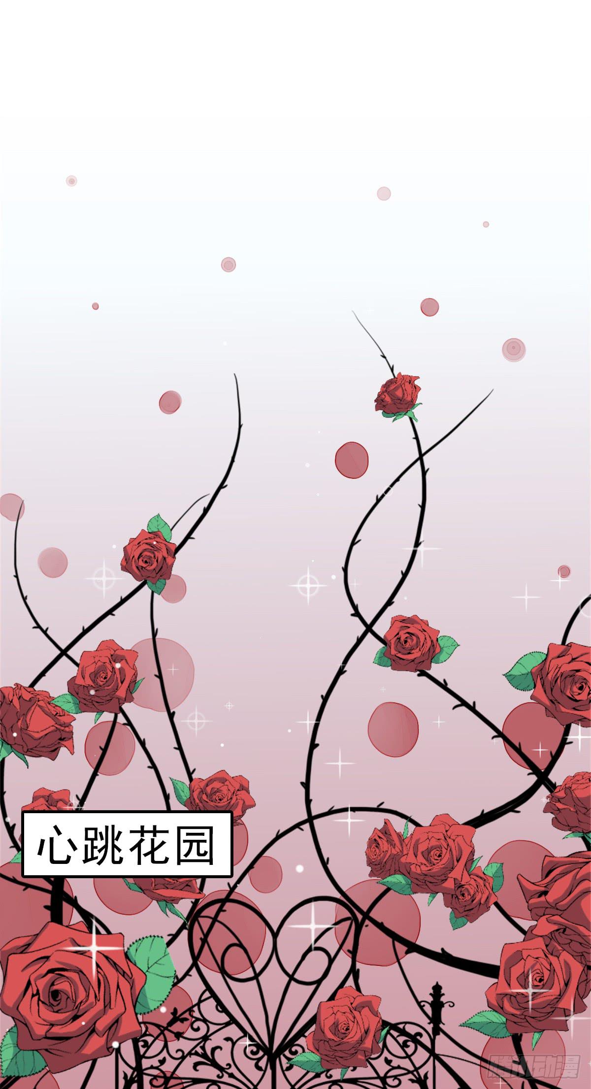 心跳花园0128