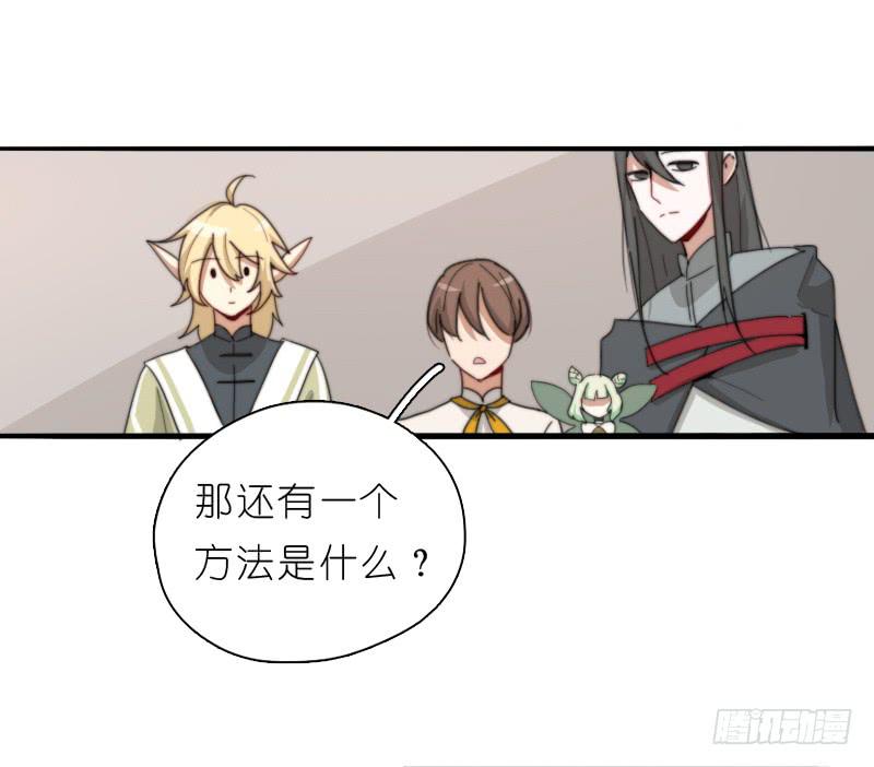 心跳花园0116