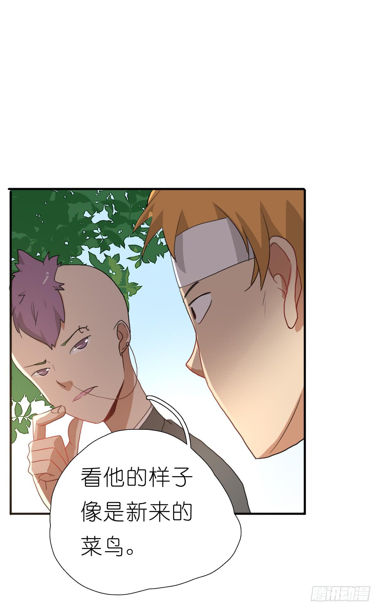 心跳花园0263