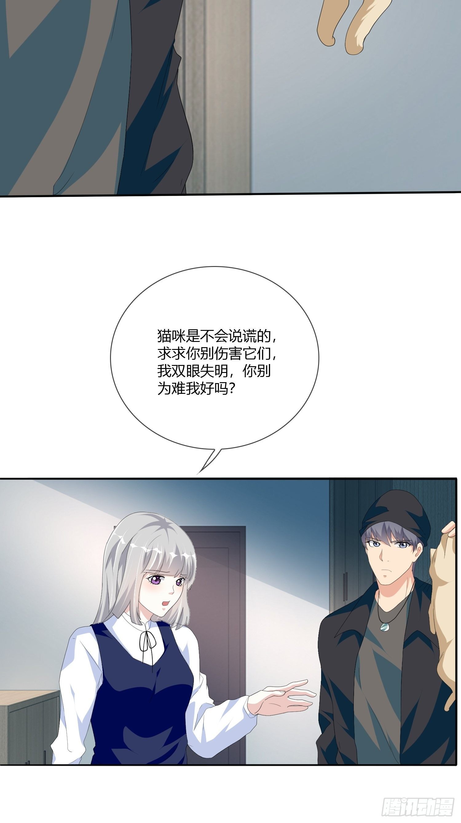 宠物翻译33