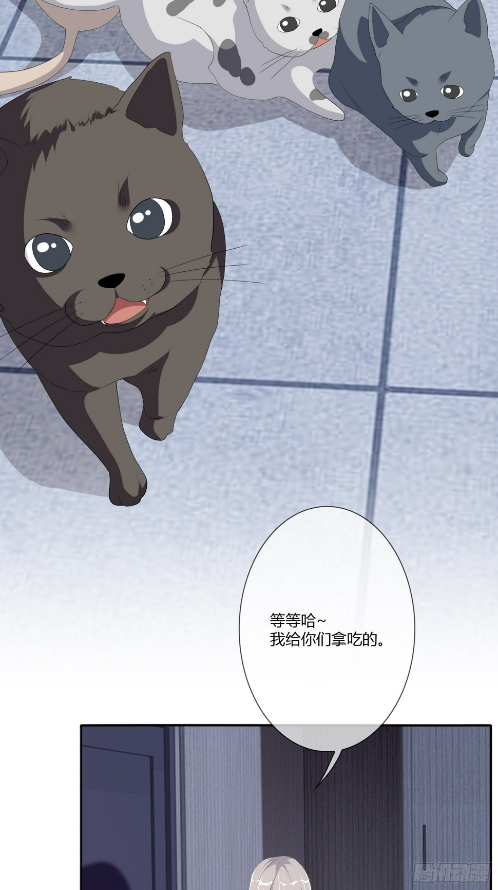 宠物翻译6