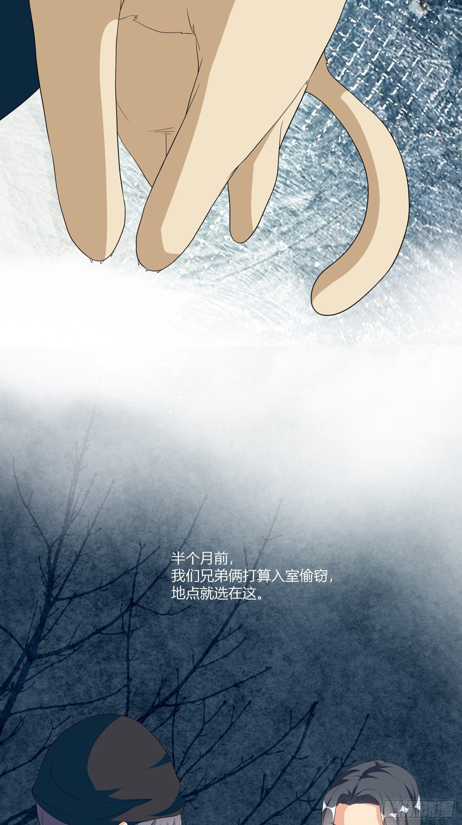 宠物翻译36