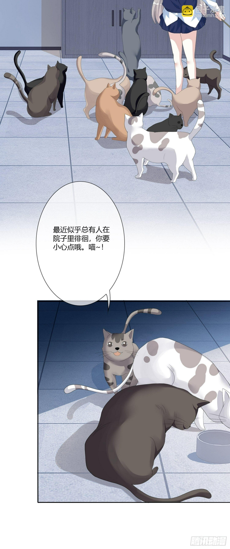 宠物翻译9