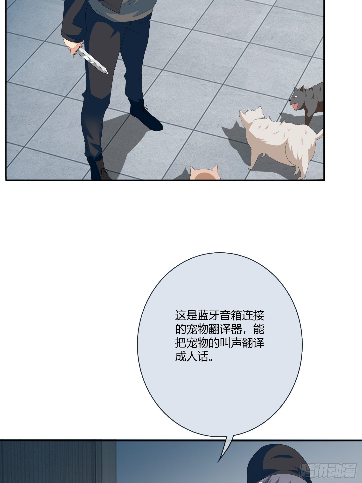 宠物翻译30