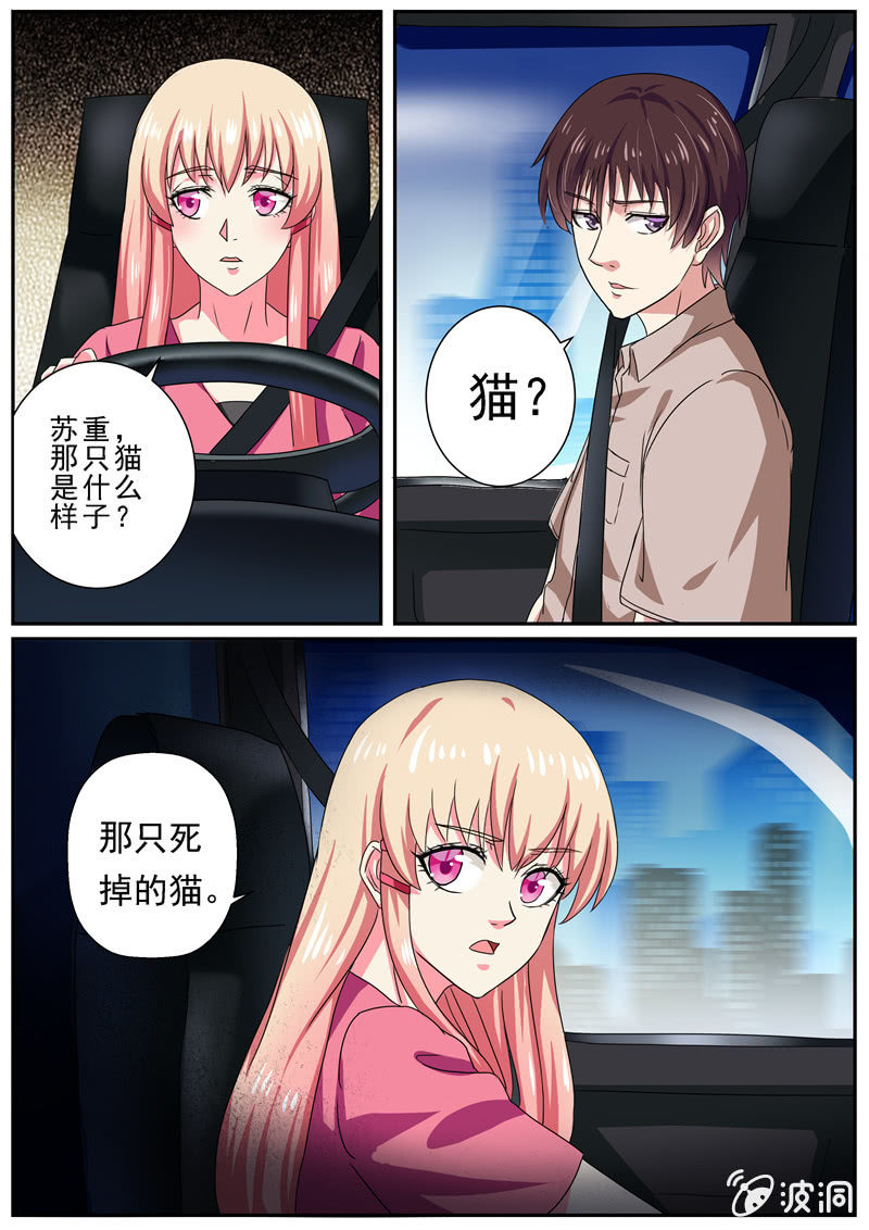天眼行动6