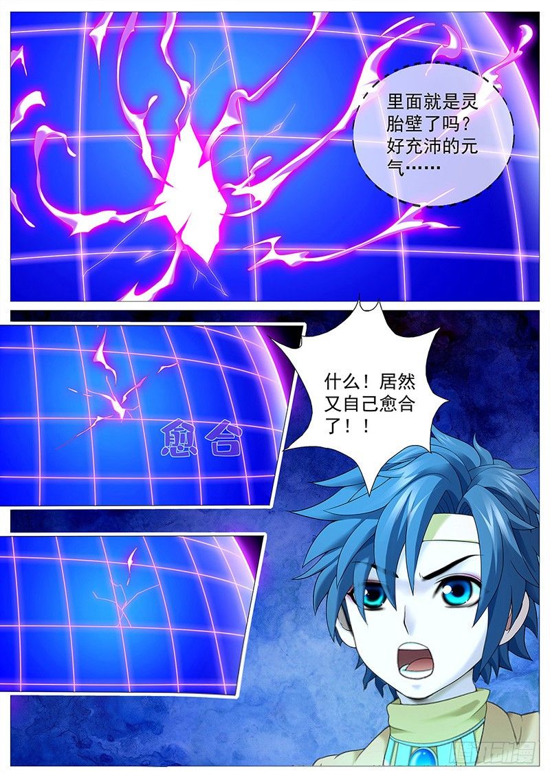 第十三回：灵胎壁12