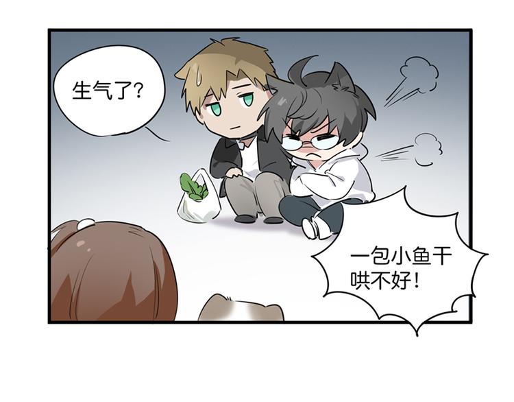 第七话如何区分流浪猫与走失家猫74