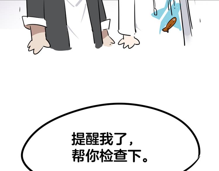 第七话如何区分流浪猫与走失家猫92