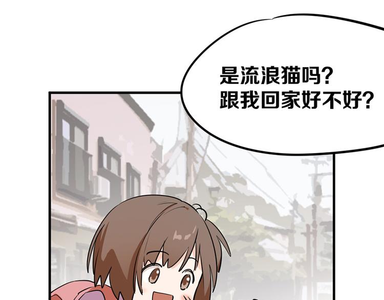 第七话如何区分流浪猫与走失家猫7