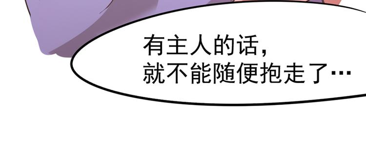 第七话如何区分流浪猫与走失家猫11