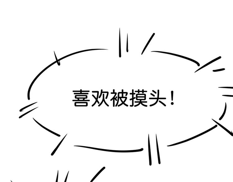 第七话如何区分流浪猫与走失家猫80