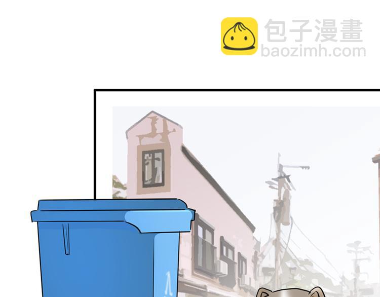 第七话如何区分流浪猫与走失家猫3