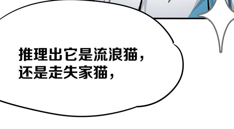 第七话如何区分流浪猫与走失家猫14