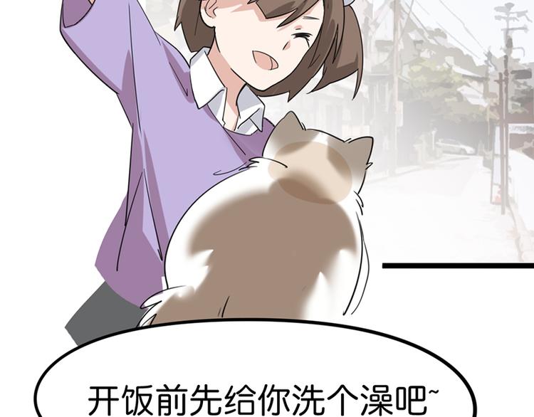 第七话如何区分流浪猫与走失家猫98