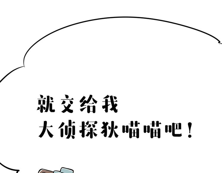 第七话如何区分流浪猫与走失家猫15