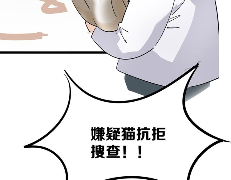 第七话如何区分流浪猫与走失家猫61