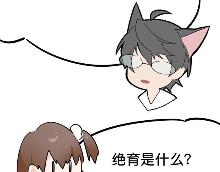 第七话如何区分流浪猫与走失家猫50