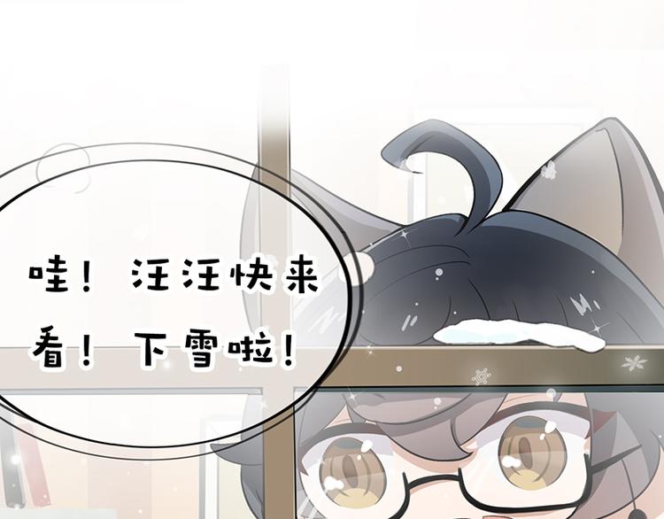四格6 小雪4