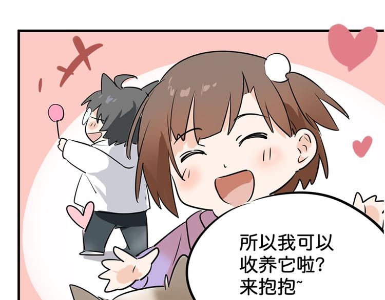 第七话如何区分流浪猫与走失家猫34