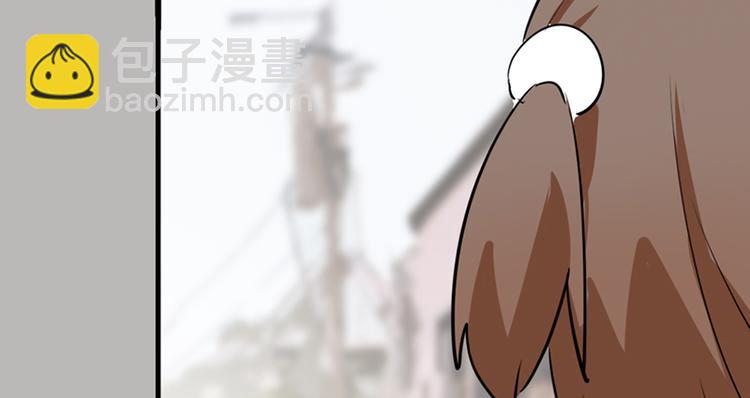 第七话如何区分流浪猫与走失家猫41