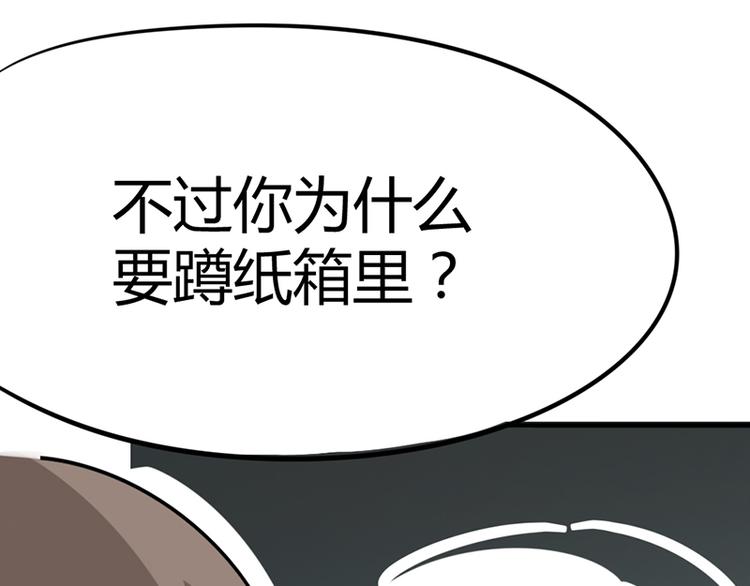 第七话如何区分流浪猫与走失家猫20