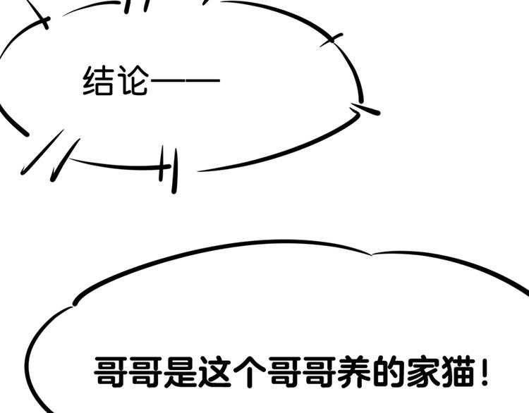 第七话如何区分流浪猫与走失家猫81