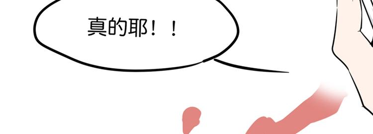 第七话如何区分流浪猫与走失家猫30