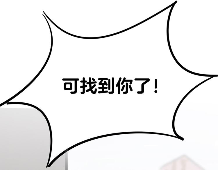 第七话如何区分流浪猫与走失家猫66