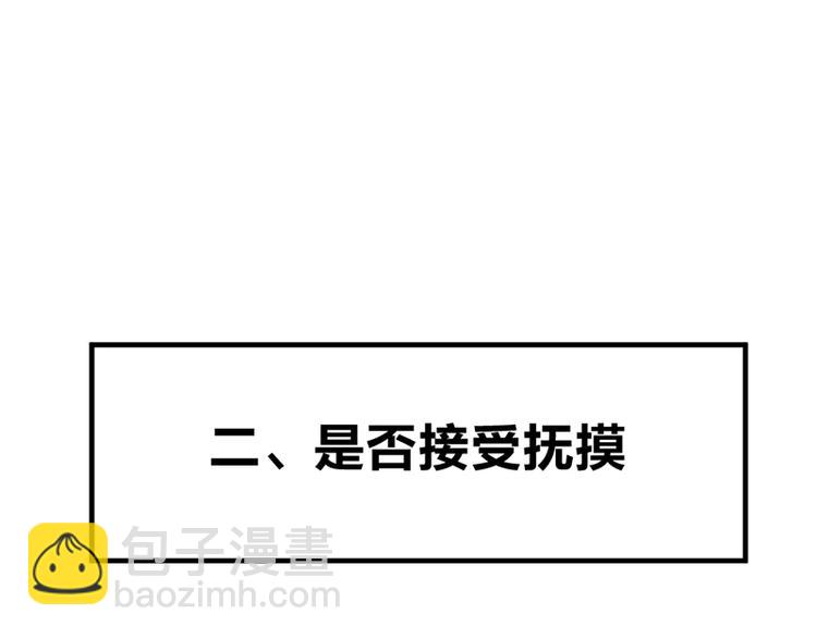 第七话如何区分流浪猫与走失家猫38