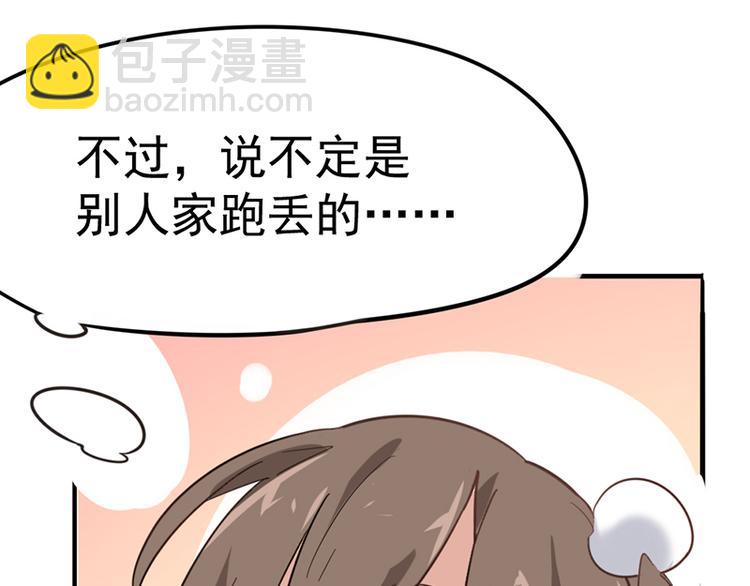 第七话如何区分流浪猫与走失家猫9