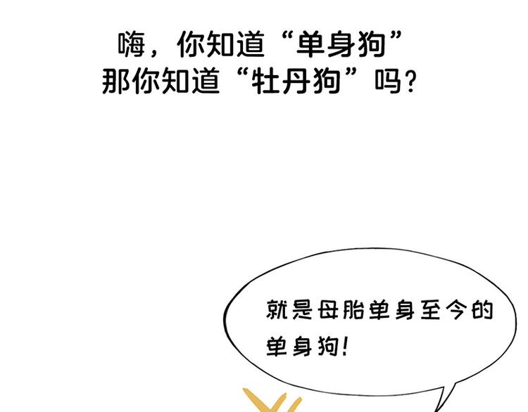 四格1 2.4亿单身狗的来源2