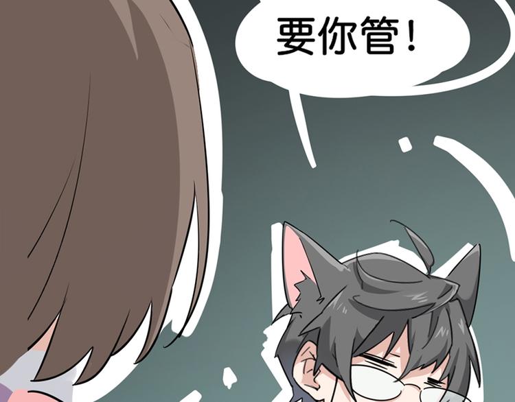 第七话如何区分流浪猫与走失家猫21
