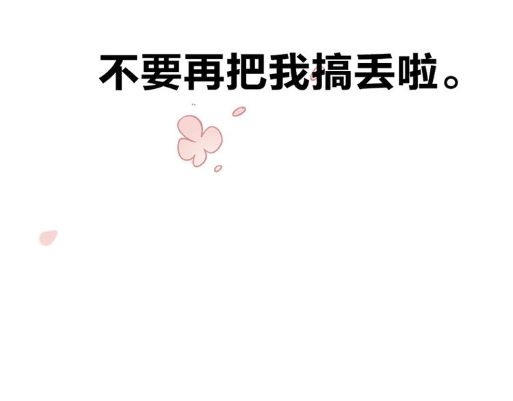 第七话如何区分流浪猫与走失家猫103