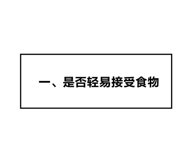 第七话如何区分流浪猫与走失家猫26