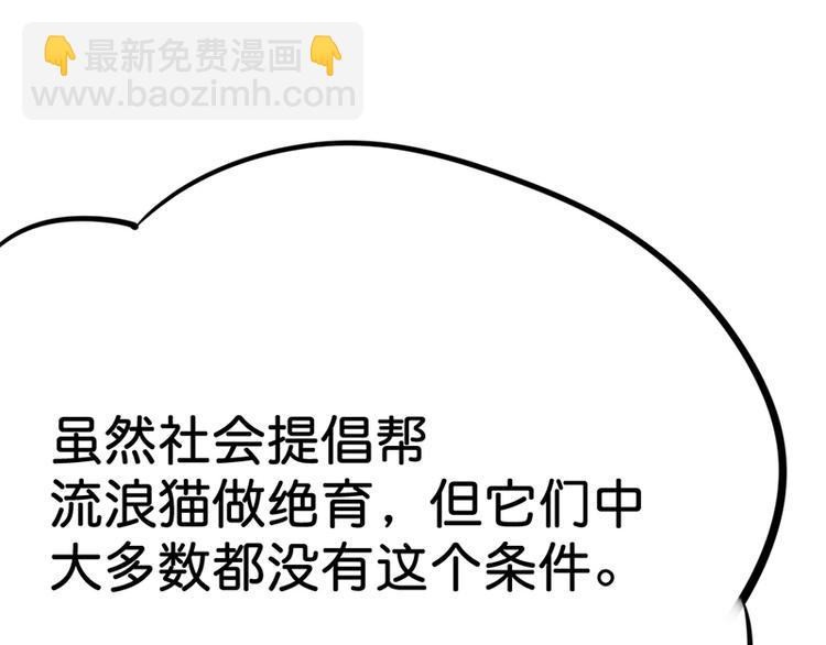 第七话如何区分流浪猫与走失家猫49