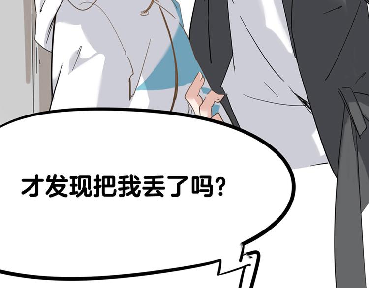 第七话如何区分流浪猫与走失家猫69
