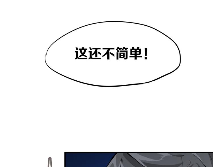 第七话如何区分流浪猫与走失家猫12