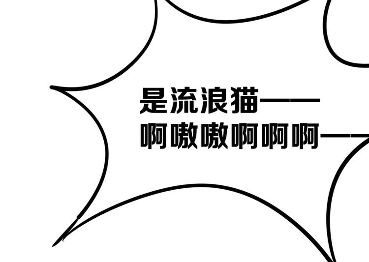 第七话如何区分流浪猫与走失家猫59