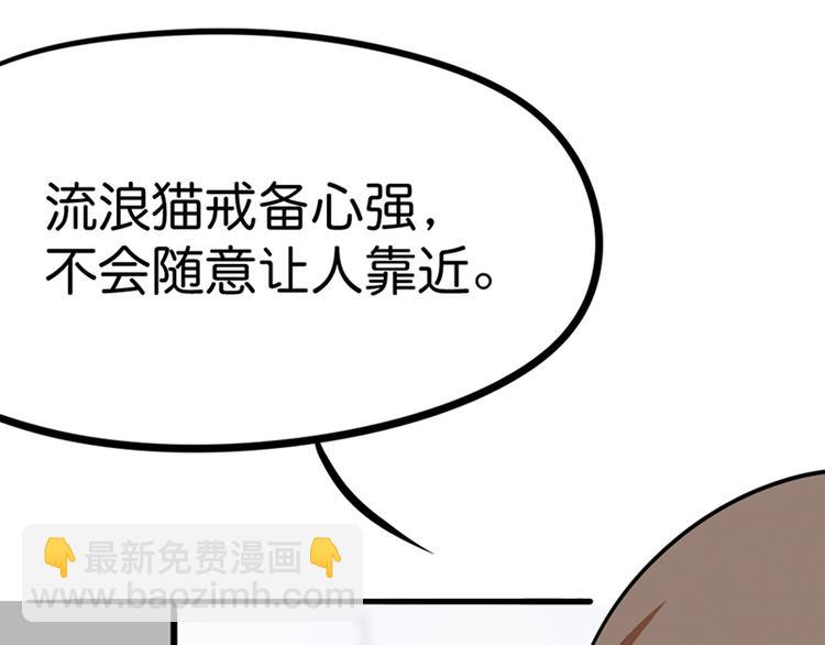 第七话如何区分流浪猫与走失家猫40