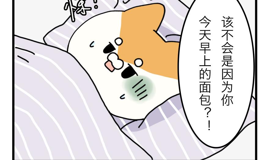 第21话 轮流生病的两只10