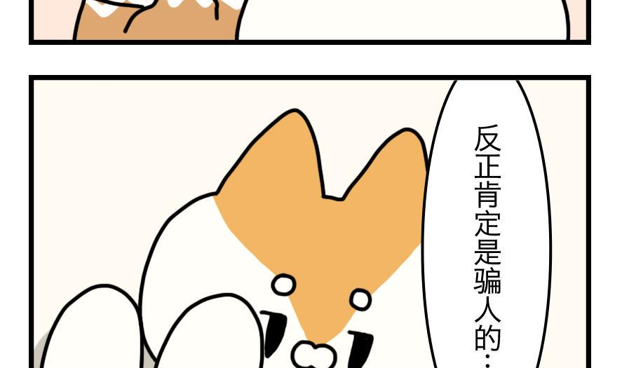 第4话 世界上最棒的家6