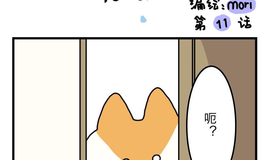 第11话 秘密揭晓……？！1
