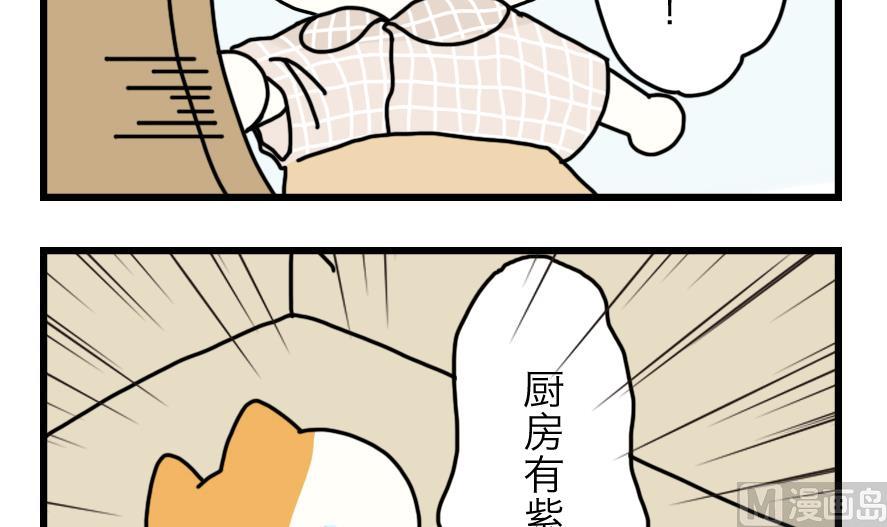 第21话 轮流生病的两只2