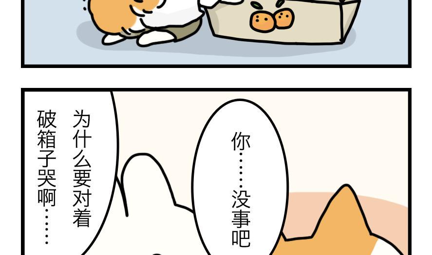 第2话 吃霸王餐是要做成兔头的？！ 下28
